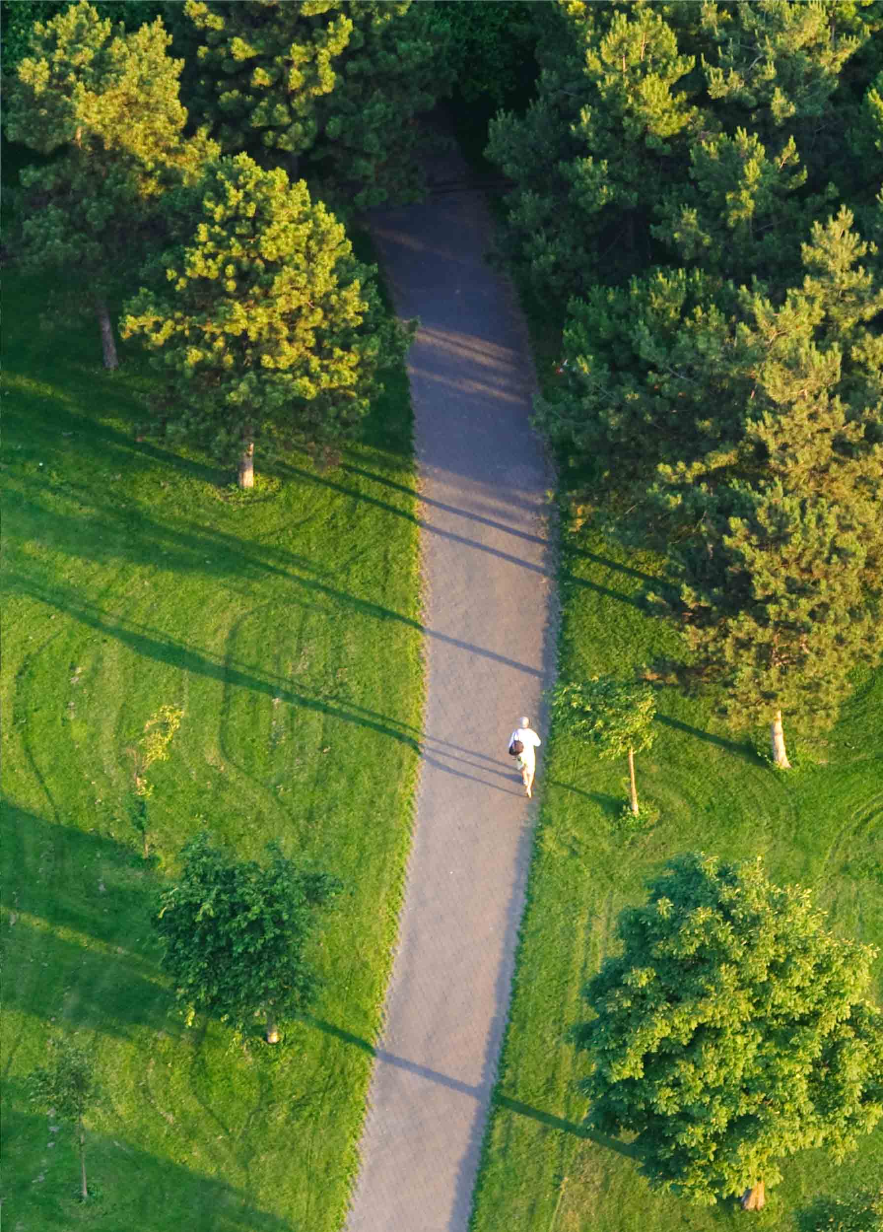 A tree-lined park path near Artesia, seen from above